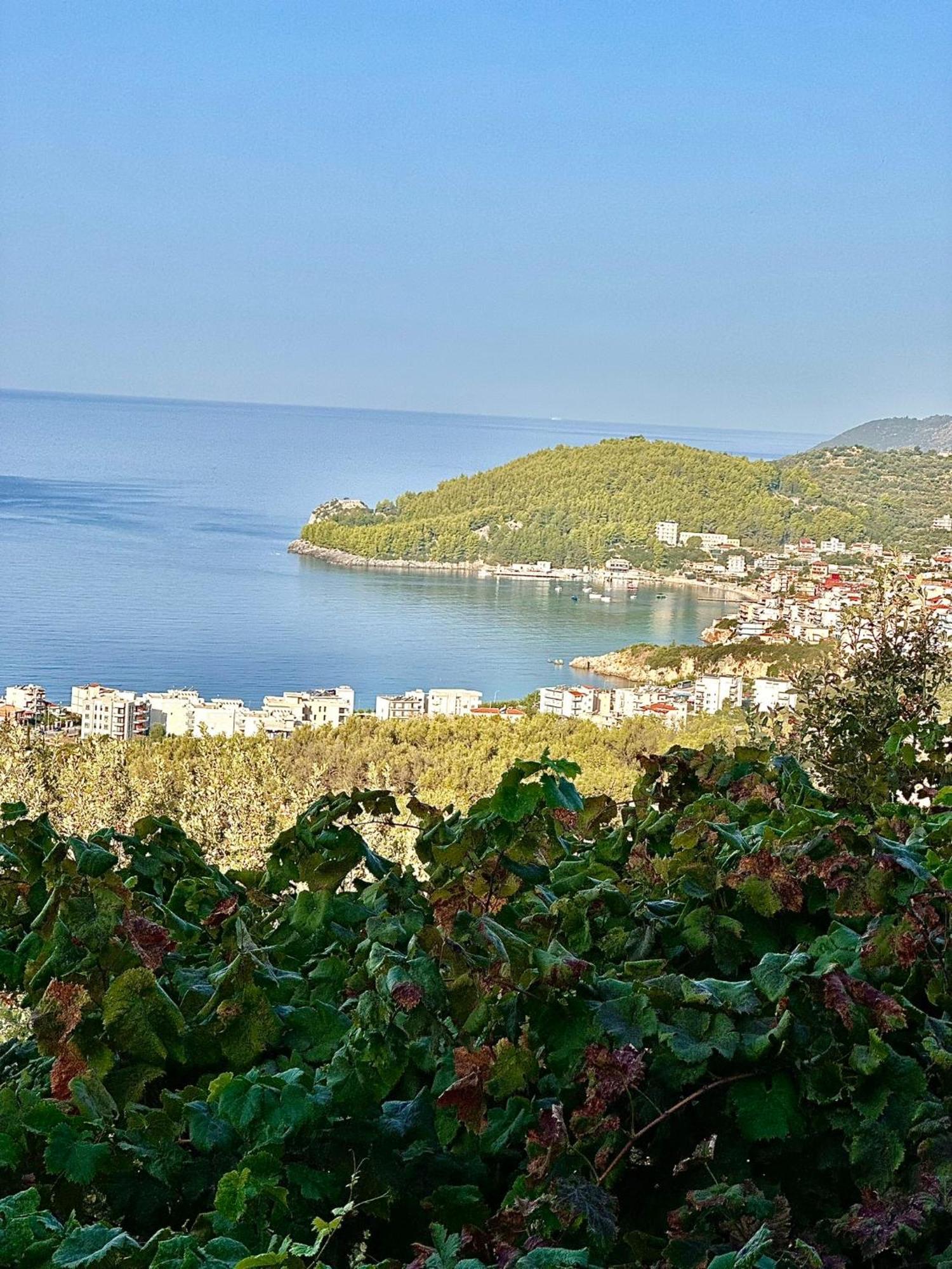 Elea Guesthouse Химар Екстериор снимка